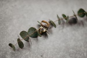 Trauringe Gold Schwarz Eukalyptus